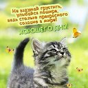 ���� ���������, ������, 56 ��� - ��������� 29 ������� 2023 � ������ ���� ����������