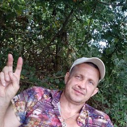  , 48 , 