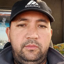 ������, �������, 38 ���