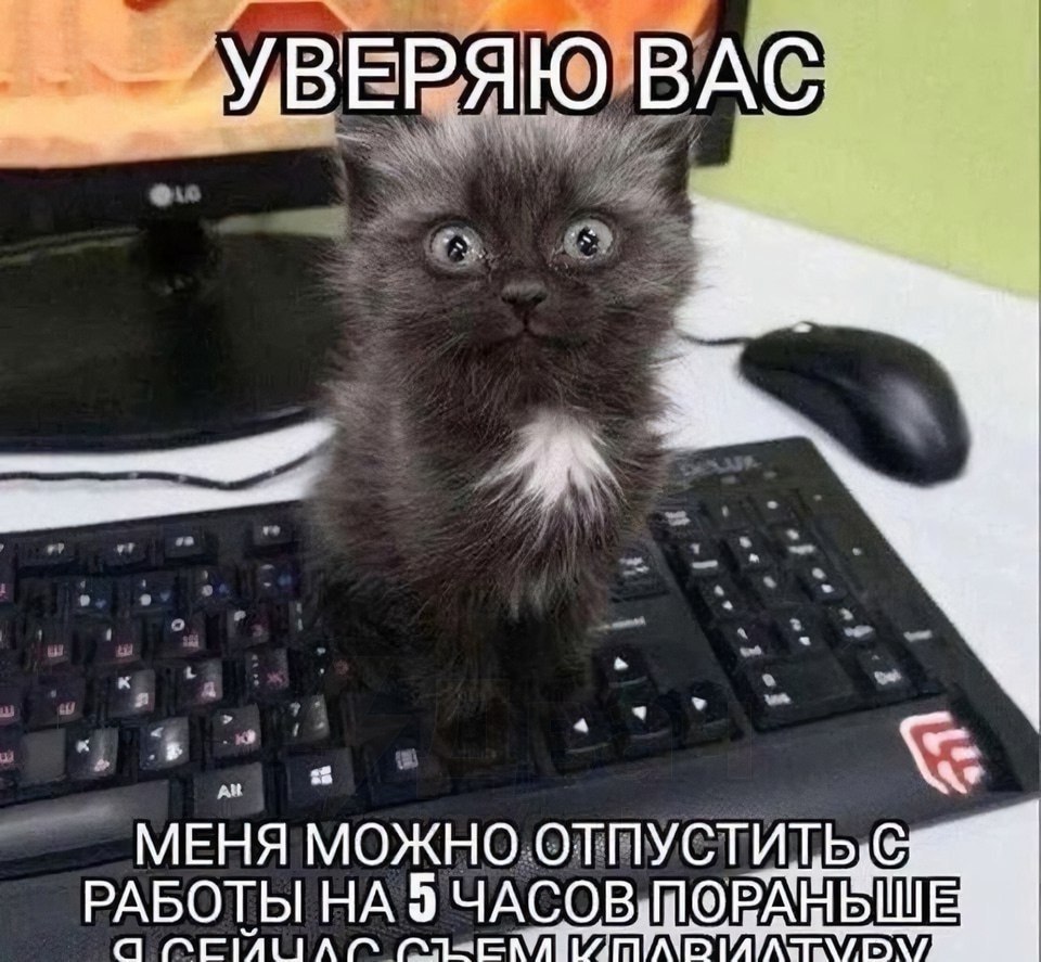       .      - ,    ...