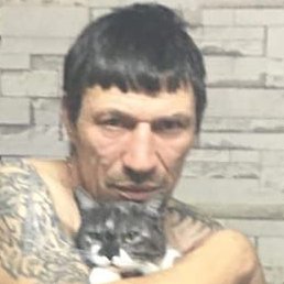 ������, ������, 52 ����