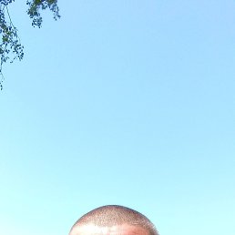 , 38, 