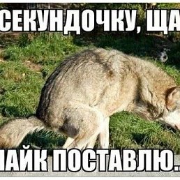 ���� ������, ���������, 45 ��� - ��������� 5 ���� 2026