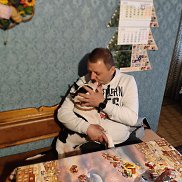 , 53 , 