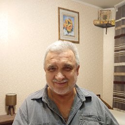 , 66 , 