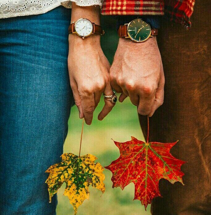   ,   :  ,   .  ,  ,  ,    ...