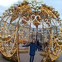 ���� ����, �����-���������, 42 ���� - ��������� 16 ����� 2026 � ������ ���� ����������