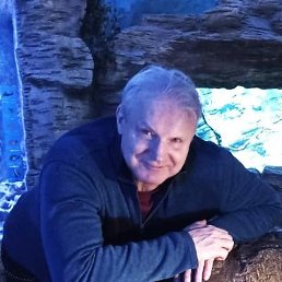 �����, ������, 58 ���