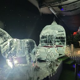 Leon, ��������, 48 ���