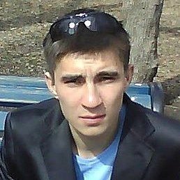 �������, ������������, 41 ���