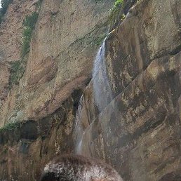 �����, �����������, 33 ����