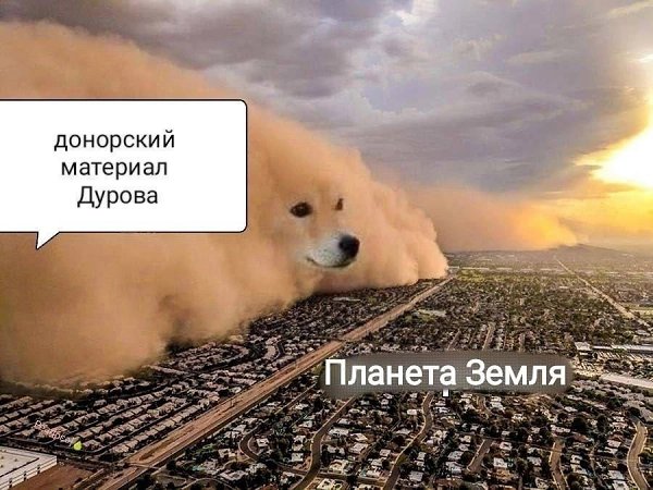 Павла Дурова начали высмеивать в социальных сетях после заявления его отца, основателя ВКонтакте и ... - 3