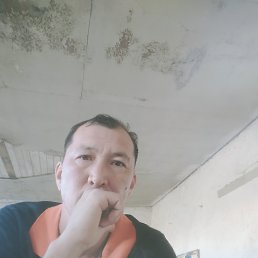 , 44, 