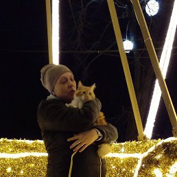 �������, ������-��-����, 53 ����