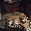 ���� �����, ����, 42 ���� - ��������� 5 ������� 2024