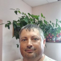 , 41, 
