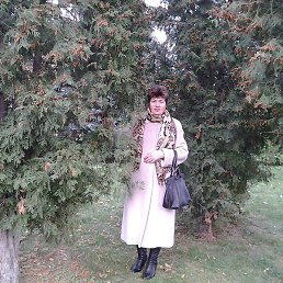 ����, ���������