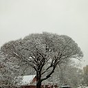 ���� ����,��� �������...., ������ - ��������� 4 ������ 2024 � ������ ������ ��������