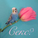 ���� ���������, ������, 30 ��� - ��������� 22 ���� 2026 � ������ ���� ����������