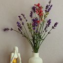 ���� �����, ����, 67 ��� - ��������� 15 ���� 2025 � ������ �������