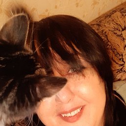 , 46, 