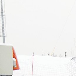 �����, ������, 29 ���