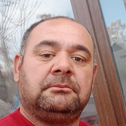 ������, �������, 37 ���