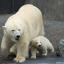 ���� ����������, �����, 46 ��� - ��������� 19 ������� 2024 � ������ ���� ����������