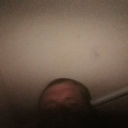����, ��������, 40 ���