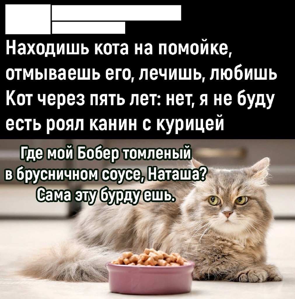       -  .  ,   -   ,  ...