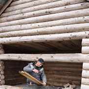 �����, 43 ����, ����