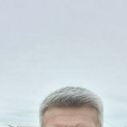 , 53, 