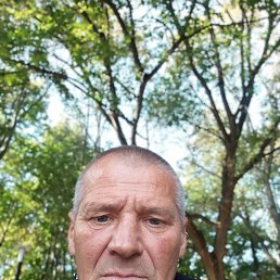 , 45 , 