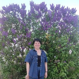 �������, ����, 51 ���