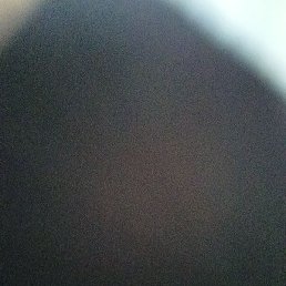 Nimii, ����, 19 ���