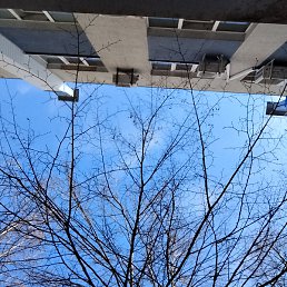 �����, ��������, 49 ���