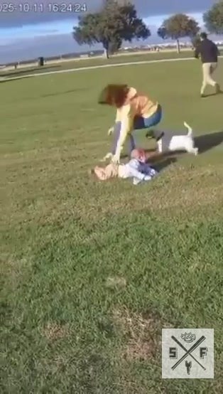 Орёл чуть не утащил маленького ребёнка, но пёс спас его, в последний момент вырвав из лап хищника. ... - 2