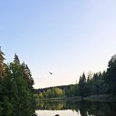 ���� ����, ������, 39 ��� - ��������� 25 ������ 2026 � ������ ���� ����������