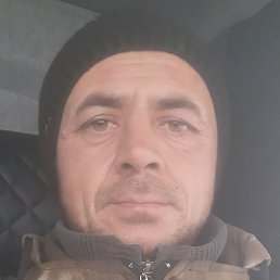 �������, ������, 40 ���