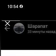 �����, 46 ���, �����