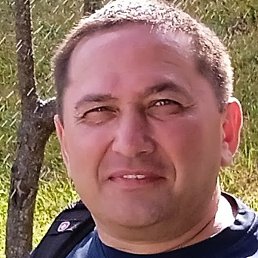 �����, ���������, 37 ���