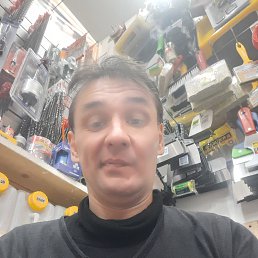 , 41, 