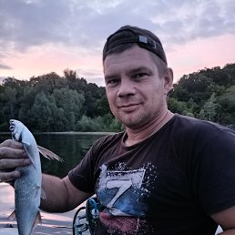 ���� �����, ���������, 41 ��� - ��������� 29 ���� 2024