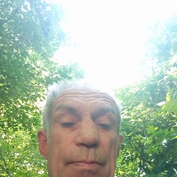, 65, 