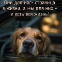 ���� Lucky Elite, ��������, 66 ��� - ��������� 11 ������� 2025 � ������ ������ ��������