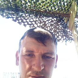 , 42, 