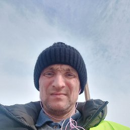 , 38 , 