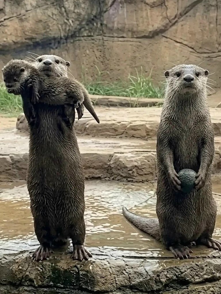 ���� ����-����� ����� ���������� ������� ������ ������, ���� ����� �� ���������� � ������������ ...