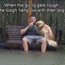 ���� ��, �����������, 38 ��� - ��������� 27 ������� 2026 � ������ ���� ����������