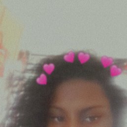 Ocane philidor, 17, 